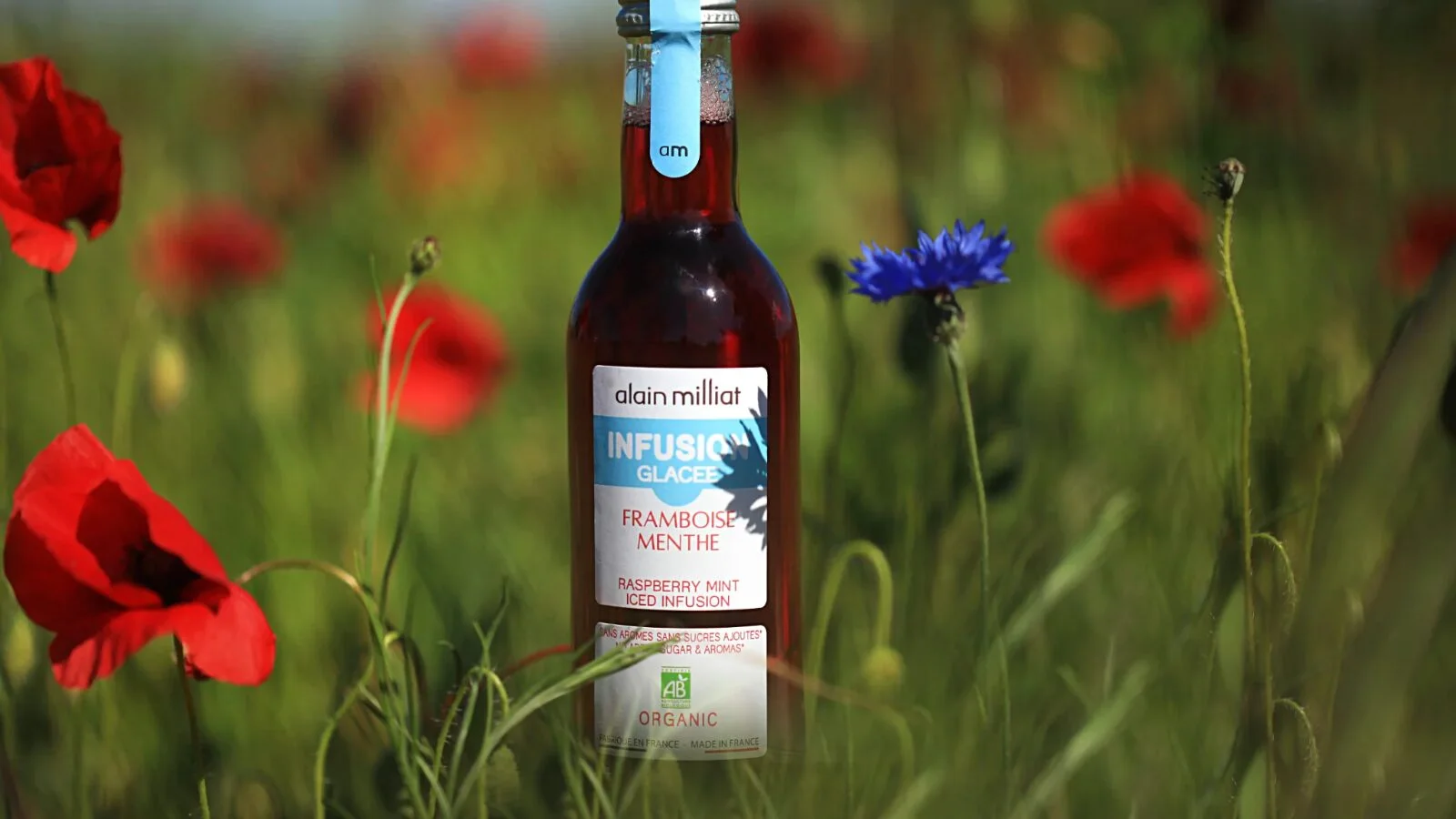 Raspberry Mint Iced Infusion